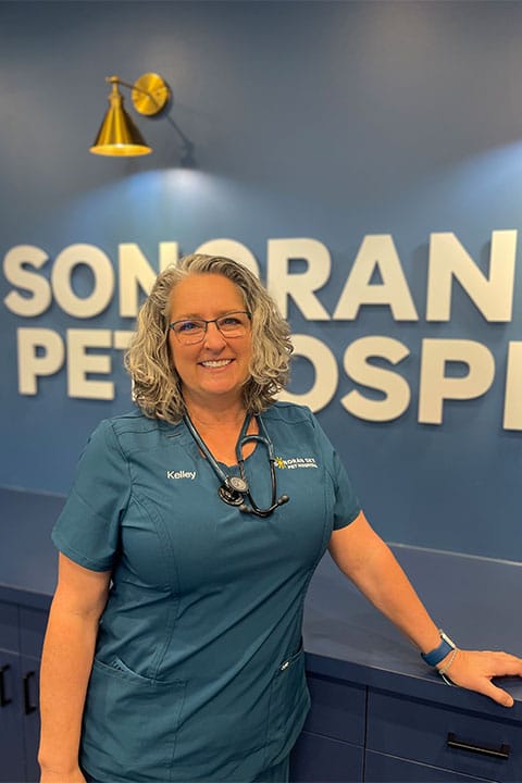 A smiling vet with gray curly hair and glasses stands indoors. She's wearing teal scrubs with a stethoscope around her neck. Behind her, a blue wall displays partially visible white letters indicating a veterinary hospital name.