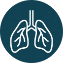 Icon of lungs outlined in white on a dark teal circular background, reminiscent of a veterinarian's precise care for respiratory health.