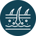 Illustration of hair follicles on skin, resembling a detailed diagram a veterinarian might use. Three hair strands grow from the surface, with small circles representing pores or glands beneath. Simple white line art is set against a dark teal circular background.