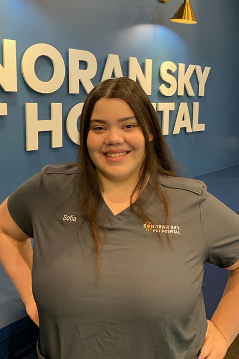 A woman with long brown hair wearing gray medical scrubs labeled "Sofia" stands smiling in front of a blue wall with large white letters that read "Noran Sky Pet Hospital.
