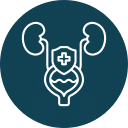 Icon of the urinary system with outlined kidneys, ureters, and bladder. A shield with a cross is superimposed over the bladder area, resembling a veterinarian's protective care. The background is a dark teal circle.