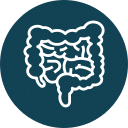 Icon of a human digestive system, specifically the intestines, depicted in white on a dark teal circular background, reminiscent of an anatomical illustration a vet might reference when explaining digestive health.