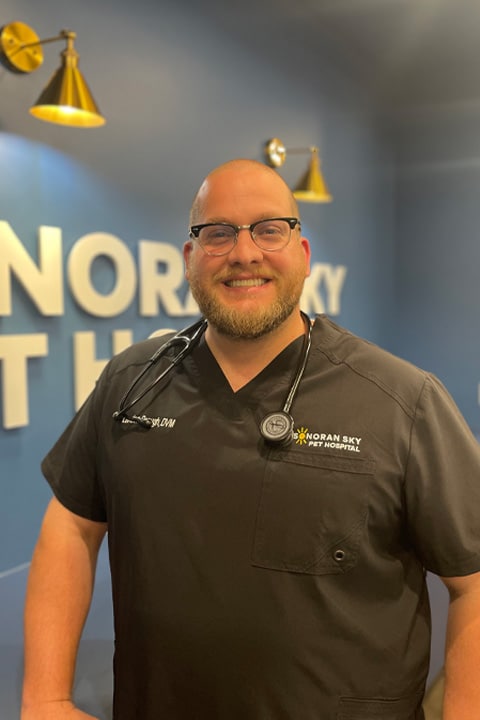 A man wearing glasses and a black scrub top featuring the "Noran Sky Vet Hospital" logo and a stethoscope around his neck stands smiling. As a dedicated veterinarian, he poses confidently in front of a blue wall with partially visible text.