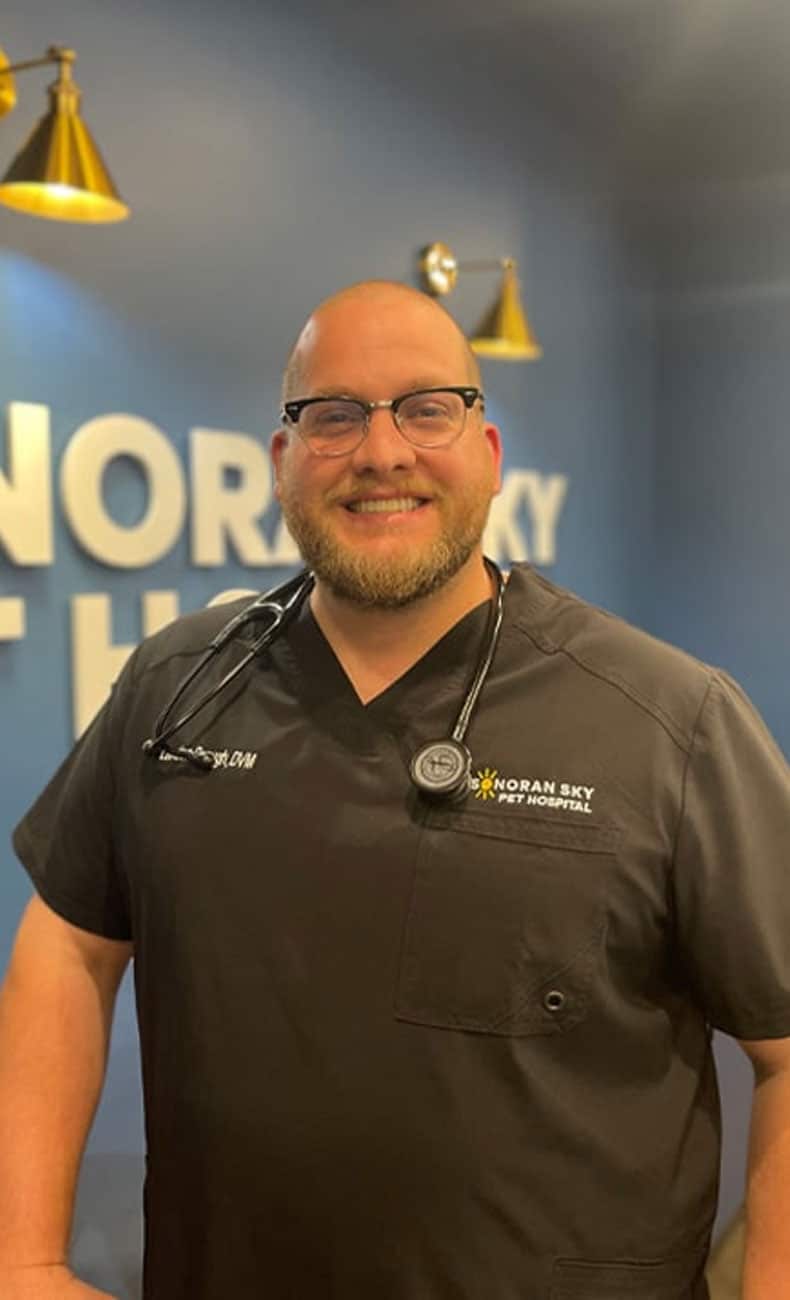 A smiling man wearing glasses and black medical scrubs with a stethoscope around his neck stands in front of a blurred sign that reads "Noran Sky Pet Hospital.