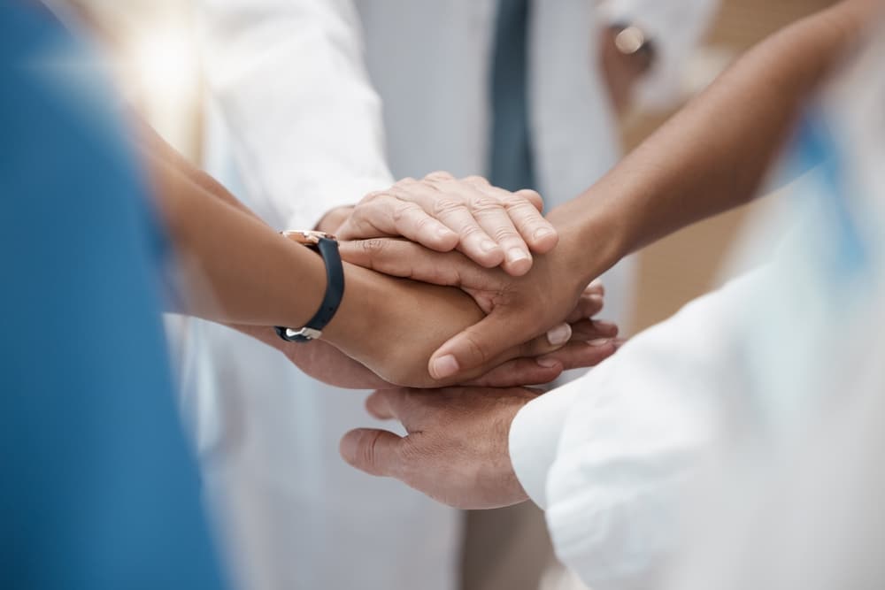 A diverse group of professionals, including a veterinarian in medical attire, stack their hands in solidarity and teamwork. The focus is on their hands, symbolizing collaboration and unity across varied fields in a professional setting.
