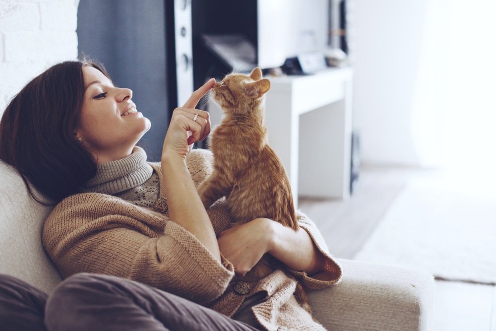 Woman in a cozy sweater sits on a couch, playfully touching the nose of an orange tabby kitten on her lap, reassured by her recent visit to the vet. The scene is in a warmly lit living room with a soft ambiance.